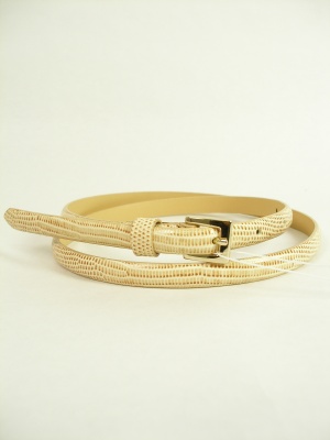 �{���������i�ʐ^81238