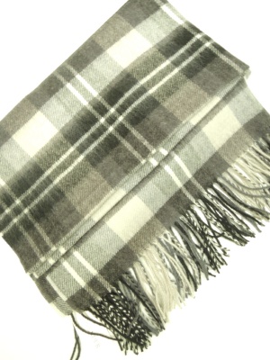 �{���������i�ʐ^93765