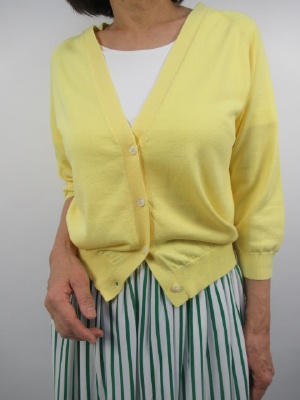 �{���������i�ʐ^96959