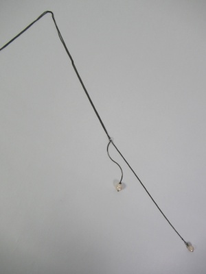 �{���������i�ʐ^100336